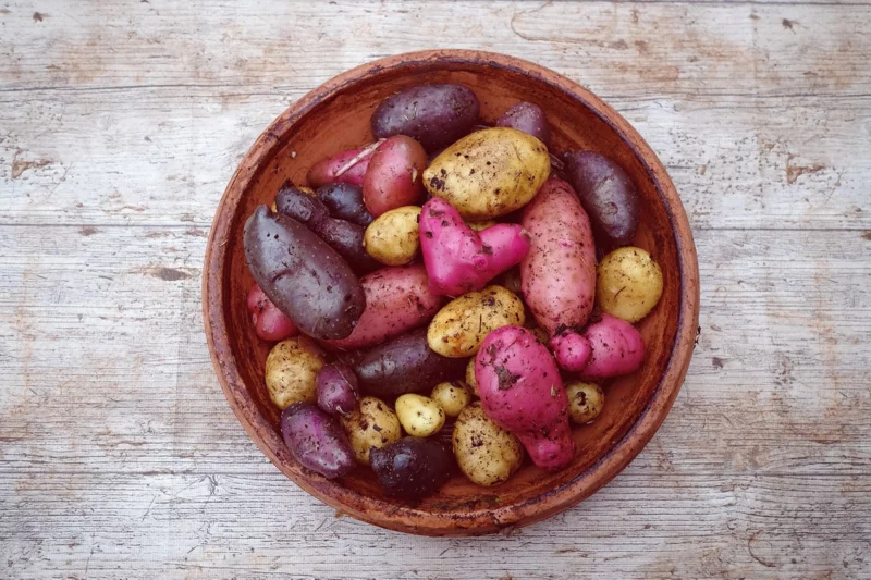 entwaessernde lebensmittel frische kartoffeln 