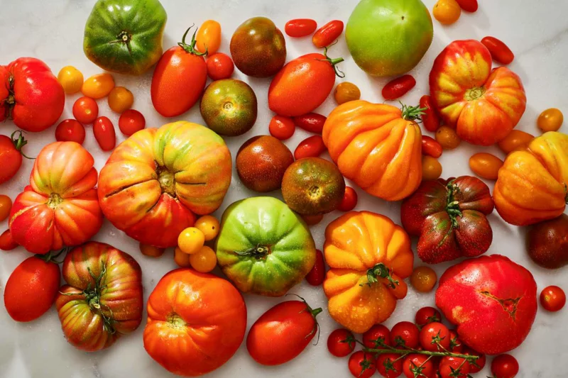 entwaessernde lebensmittel reife tomaten essen