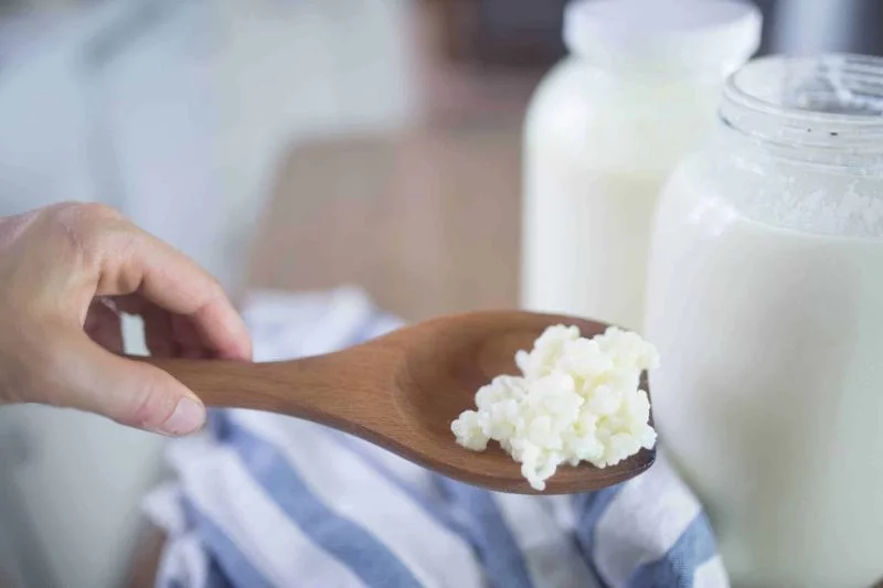 Kefir gesund Kefirknollen gesundes Essen Kefir selber machen