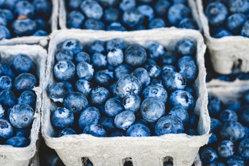 lebensmittel mit viel vitamin e heidelbeeren