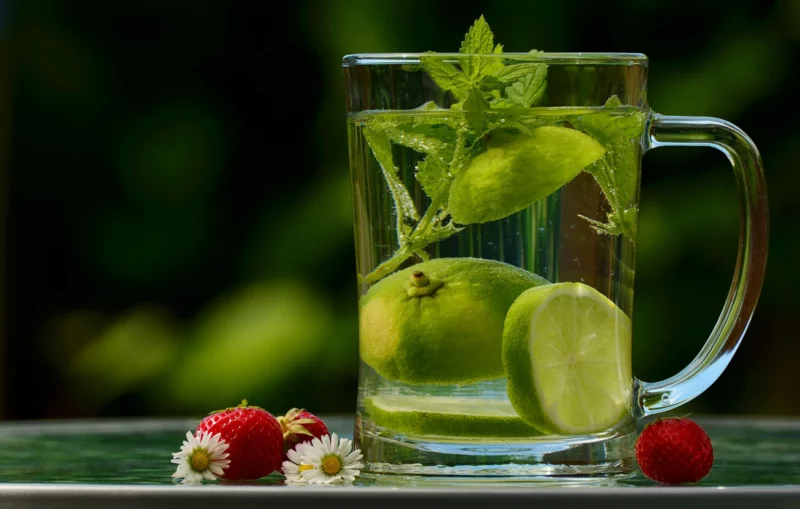 wassereinlagerungen loswerden detoxwasser mit obst