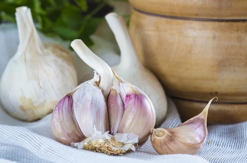 Knoblauch und Knoblauchwasser fuer Zimmerpflanzen und Orchideen