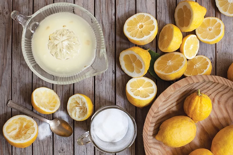 Zitronen gesund Zitronenschale vielseitig verwenden