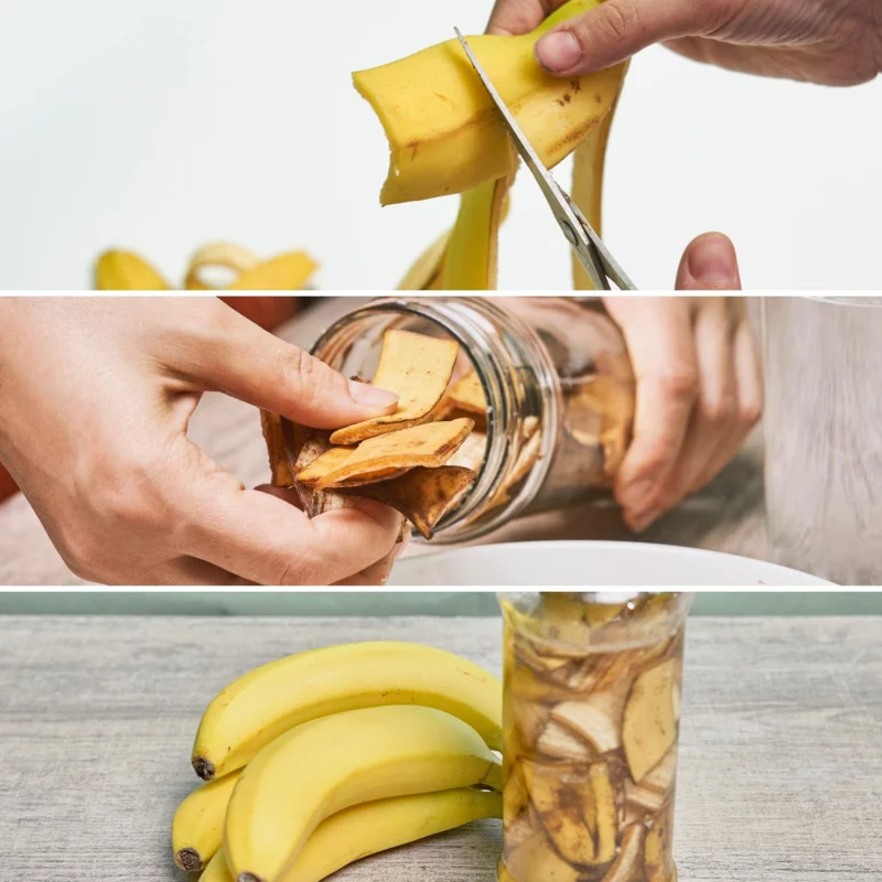 bananenschale als duenger rezept