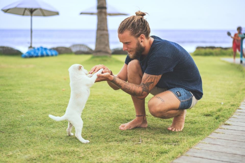 coole jungs frisuren trendfrisuren 2023 junge mit hund