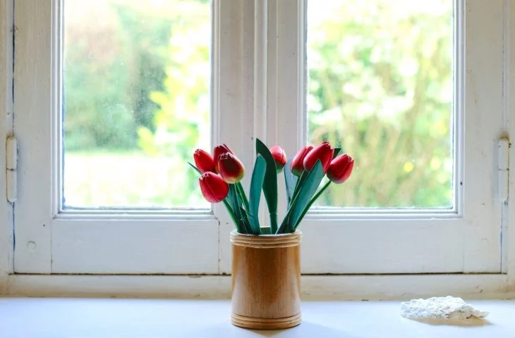 Fensterrahmen reinigen Haushaltstipps Fenster richtig putzen