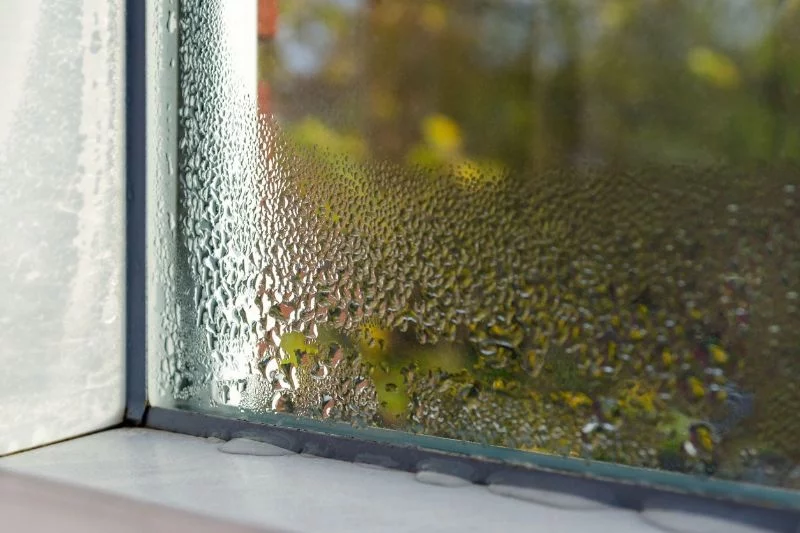 Kondenswasser Innen Fenster Winter