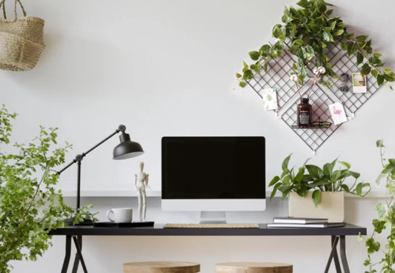 kreative wanddeko home office deko frische pflanzen