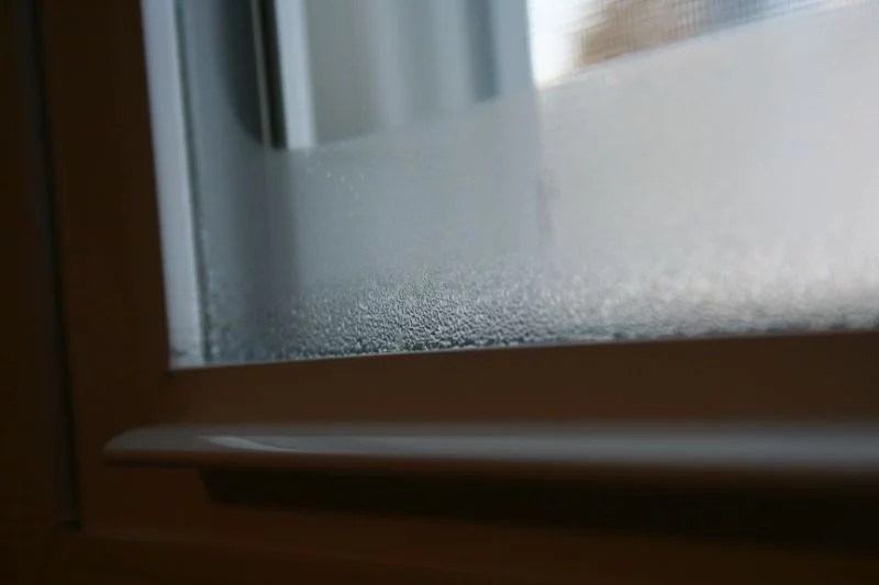 Schimmel am Fenster gefährlich