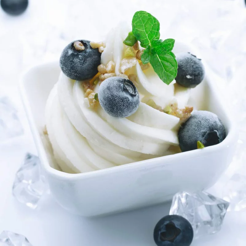 Griechischer Joghurt ein Glas naturlicher Geschmack viele gesundheitliche Vorteile