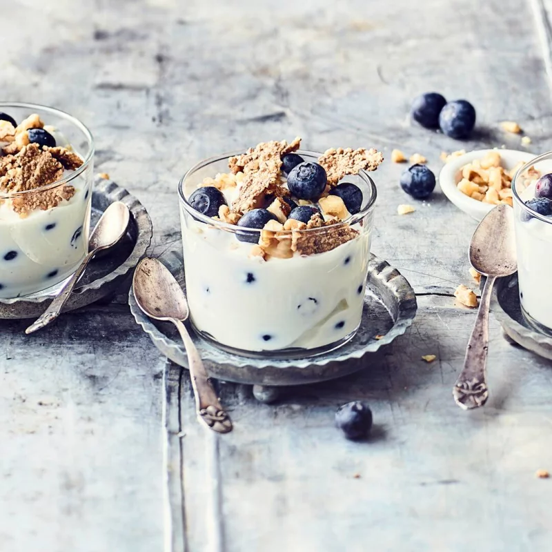 Griechischer Joghurt gesunde Nachspeise mit Blaubeeren gut fuer die Verdauung