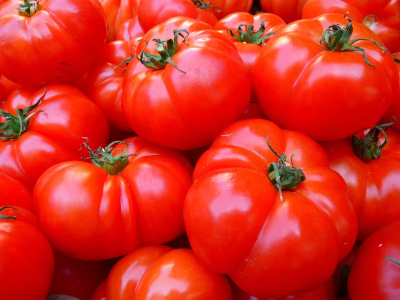 letscho selber machen welche hauptzutaten tomaten