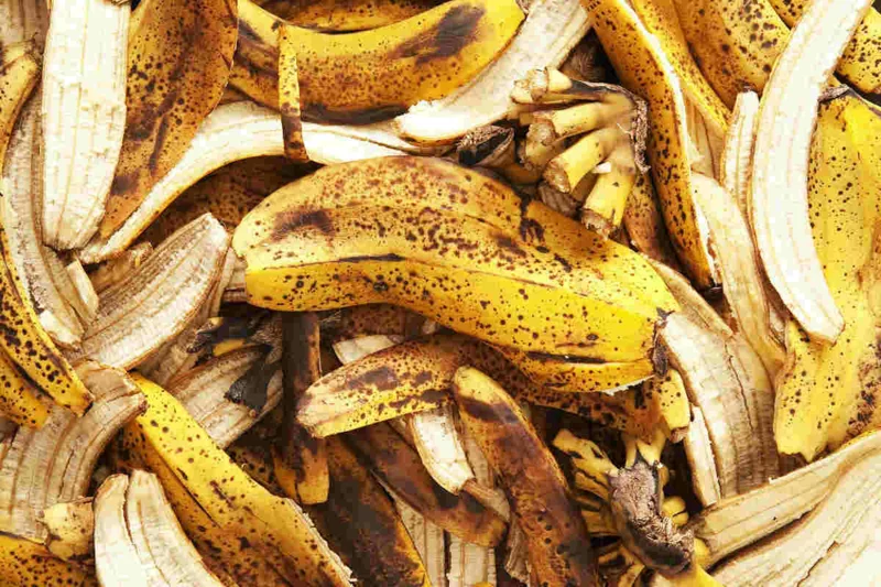 rosenduenger selber machen aus bananenschalen