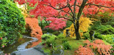 herrlicher Blick in den Garten im Herbst 