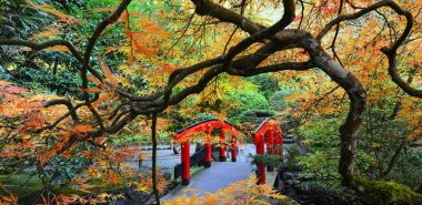 Romantik pur im Garten im Herbst 