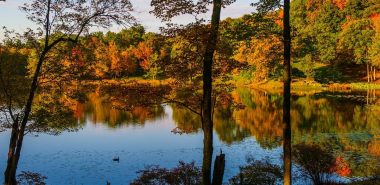 Der Garten im Herbst strahlt Ruhe aus