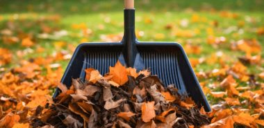 im Herbst muss man welke Blätter sammeln 