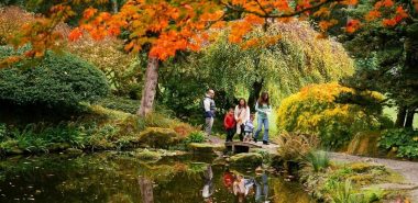 Familie mit Kindern beim Spaziergang im Herbstgarten