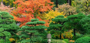 die typische Farbpalette im Garten im Herbst 