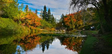 endlose Schönheit herrscht im Herbstgarten