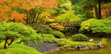 grün, gelb und orange - typische Herbstfarben im Garten 