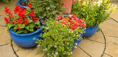 ein Blumenarrangement auf der Terrasse 